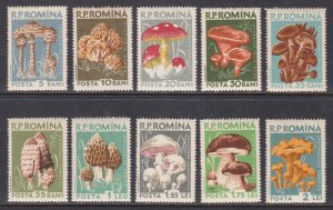 Romania, Mushrooms MNH / 1958