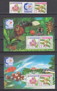 Z5033 JL stamps 1995 singapore mnh set + 2 s/s #716-17c flower type