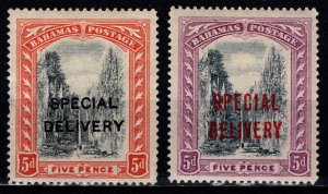 Bahamas 1917/18 George V Optd. ‘SPECIAL DELIVERY’, 5d [Unused]