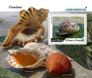 St Thomas - 2020 Tiger Cowrie Seashells - Stamp Souvenir Sheet - ST200605b