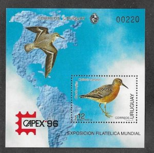 URUGUAY Sc 1615 NH SOUVENIR SHEET OF 1996 - BIRDS