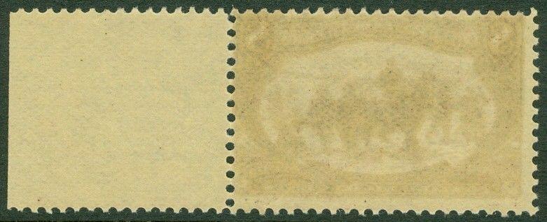 EDW1949SELL : USA 1898 Scott #289 Margin stamp. Mint Never Hinged. Catalog $425.