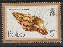 1980 Belize - Sc 475 - used VF - Latirus carinferus