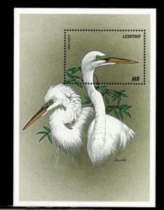 Lesotho 1999 - Great Egrets Birds - Souvenir Sheet Stamp - Scott #1185 - MNH