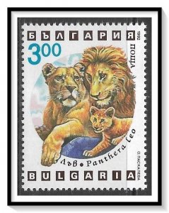 Bulgaria #3742 Wild Cats MNH