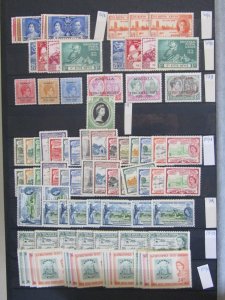 SAINT KITTS Stockpages with a useful mint / unmounted mint - 3922