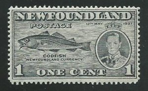 Newfoundland 233  Mint    1937   PD