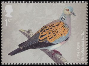 GB 4659 Migratory Birds Turtle Dove 1st single MNH 2022