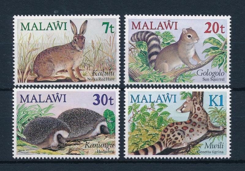 [50831] Malawi 1984 Animals Hare Squirrel Hedgehog MNH