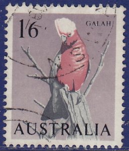 Australia - 1964 - Scott #369 - used - Bird Galah