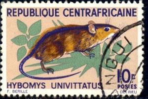 Rodent, One-strip Mouse, Central African Republic SC#74 used