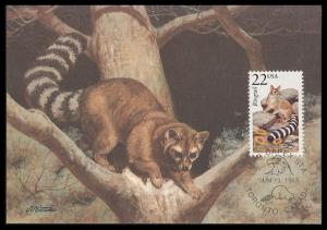 #2302 Ringtail Wildlife Maxi FDC