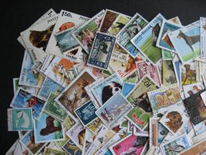 Topical hoard breakup 200 Dogs. Mixed condition, few duplicates