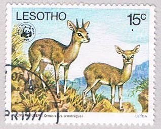 Lesotho 231 Used Klipspringers 1977 (BP4455)