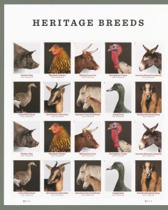 MNH  USA STAMPS IN SHEETS ISUED 2021      (5583)