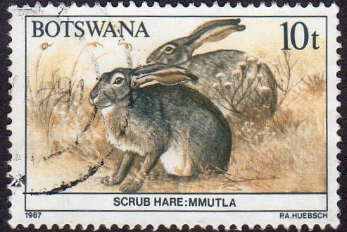 Botswana 411 - Used - 10t Scrub Hare (1987)