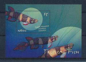 [49301] Nevis 2000 Marine life Fish MNH Sheet