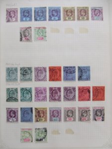 Straits EVII 1902/3 collection