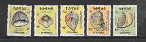 SHELLS - ETHIOPIA #844-8 VLH
