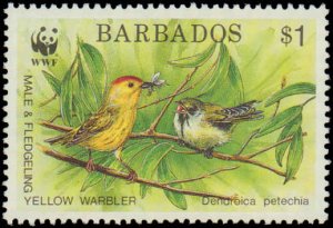 Barbados #795-798, Complete Set(4), 1991, Birds, World Wildlife Fund, Never H...