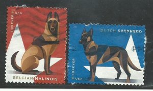 USA    2 different dogs used   PD