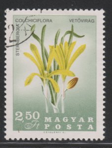 Hungary 1816 Sterbergia Colchiciflora 1967