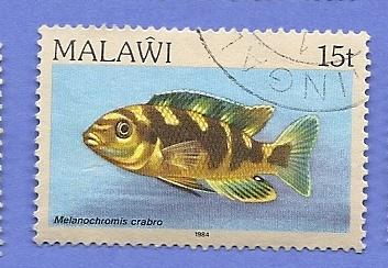 Malawi Scott #433 Fish, used
