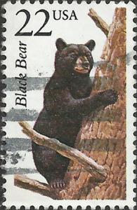 # 2299 USED BLACK BEAR