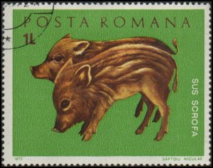 Romania 2318 - Cto - 1L Wild Hog Piglets (Squeelers) (1972)