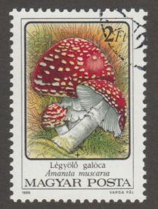 3048 Mushroom