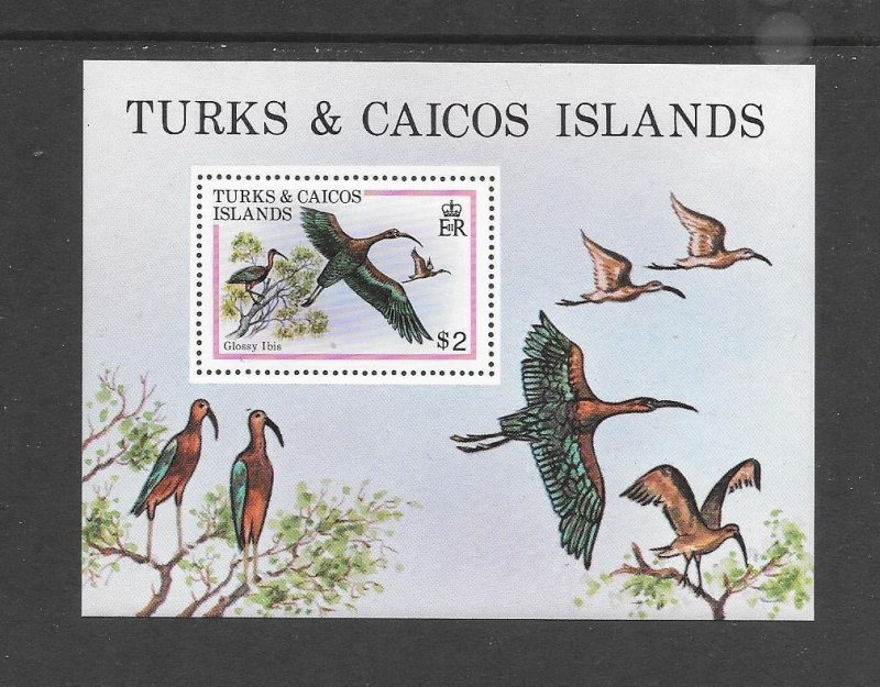 BIRDS - TURKS & CAICOS ISLANDS #430  GLOSSY IBIS  S/S  MNH