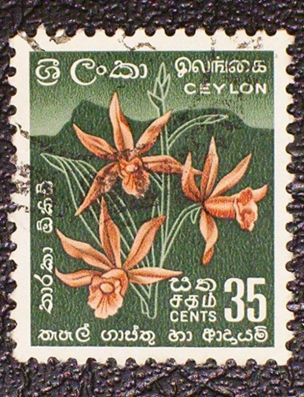 Ceylon Scott #354 used