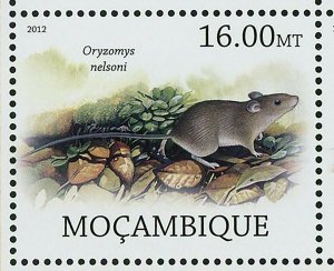 Rodents Stamp Pseudomys Gouldii Megalomys Luciae Souvenir Sheet MNH #5692-5699