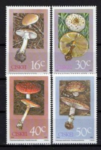 South Africa Ciskei 127-130 MNH Poisonous Mushrooms Plants ZAYIX 0424S0059M