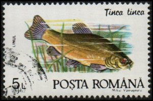 Romania 3729 - Cto - 5L Tench Fish (1992)