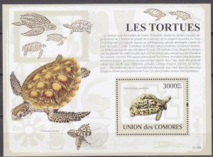 2009 Comoro Islands 2183/B483 Turtles 15,00 €