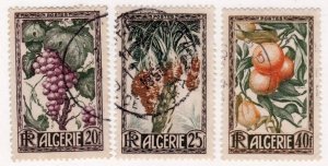 Algeria       229 - 231            used