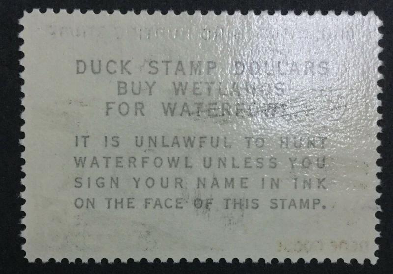 MOMEN: US STAMPS #RW31 MINT OG NH DUCK XF