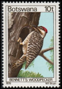 Botswana 204 - Mint-NH - 10t Bennett's Woodpecker (1978) (cv $3.20)