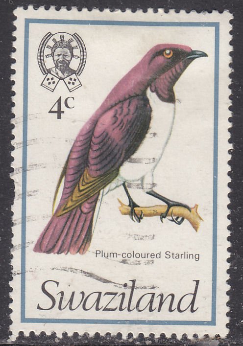 Swaziland 247 Plum-Coloured Starling 1976