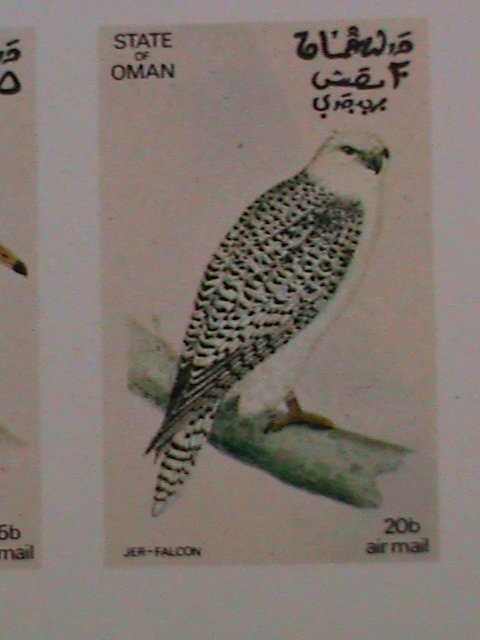 ​OMAN-1973 WORLD FAMOUS LOVELY BIRDS MNH IMPERF SHEET- WE SHIP TO WORLD WIDE