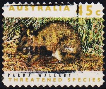 Australia. 1992 45c S.G.1312 Fine Used