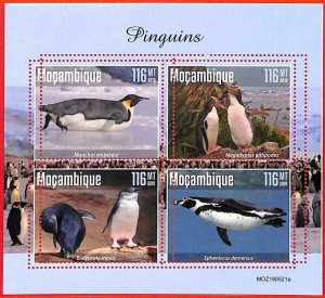 A4287 - MOZAMBIQUE - ERROR MISPERF, Miniature sheet: 2019, Penguins 