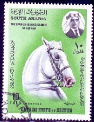 Horse, Spanish Riding School of Vienna, South Arabia used