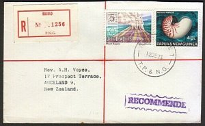 PAPUA NEW GUINEA 1973 Reg cover - Relief No.7  cds used at Bulolo..........74151