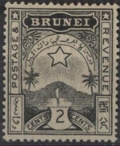 Brunei A3 revenue stamp (mng) 2c star on landscape (1895)