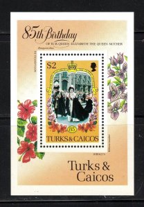 Turks & Caicos Islands Souvenir Sheet #679, MNH, XF, CV $4.25