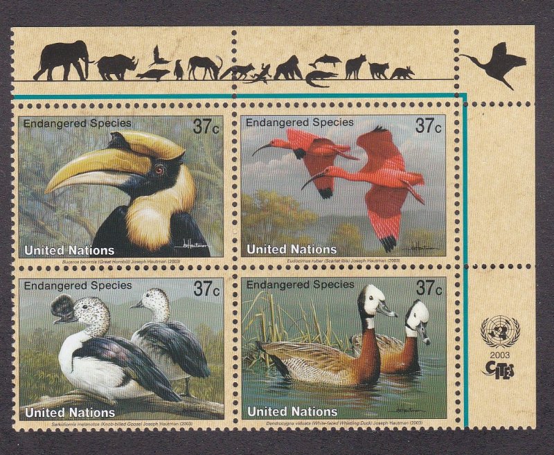 United Nations - New York # 845a, Endangered Species - Birds, NH, 1/2 Cat.