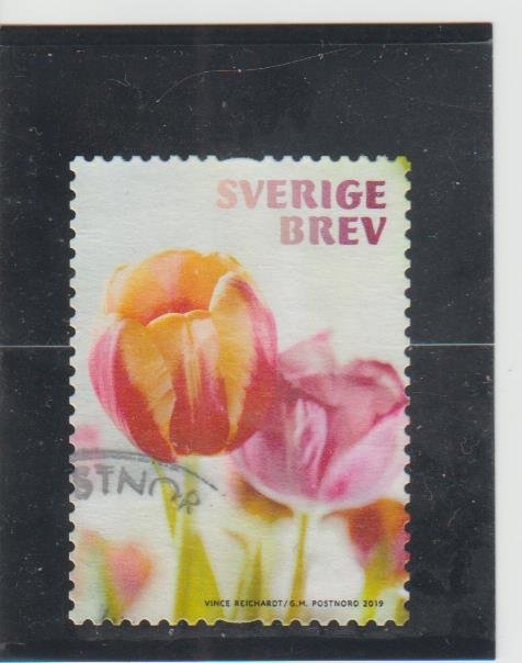 Sweden  Scott#  2836c  Used  (2019 Tulip)