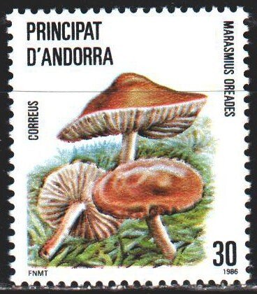 Andorra. 1986. 187. Mushrooms. MLH.